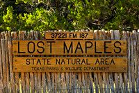 Lost Maples 2006
